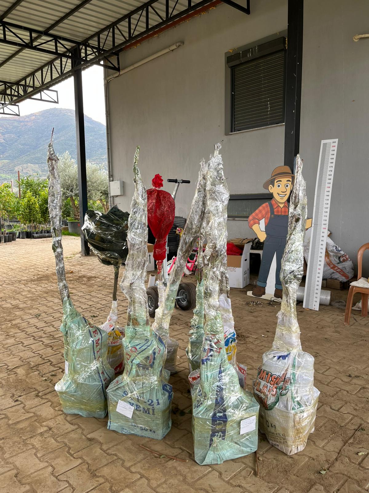 Fidan Paketleme Görseli 10