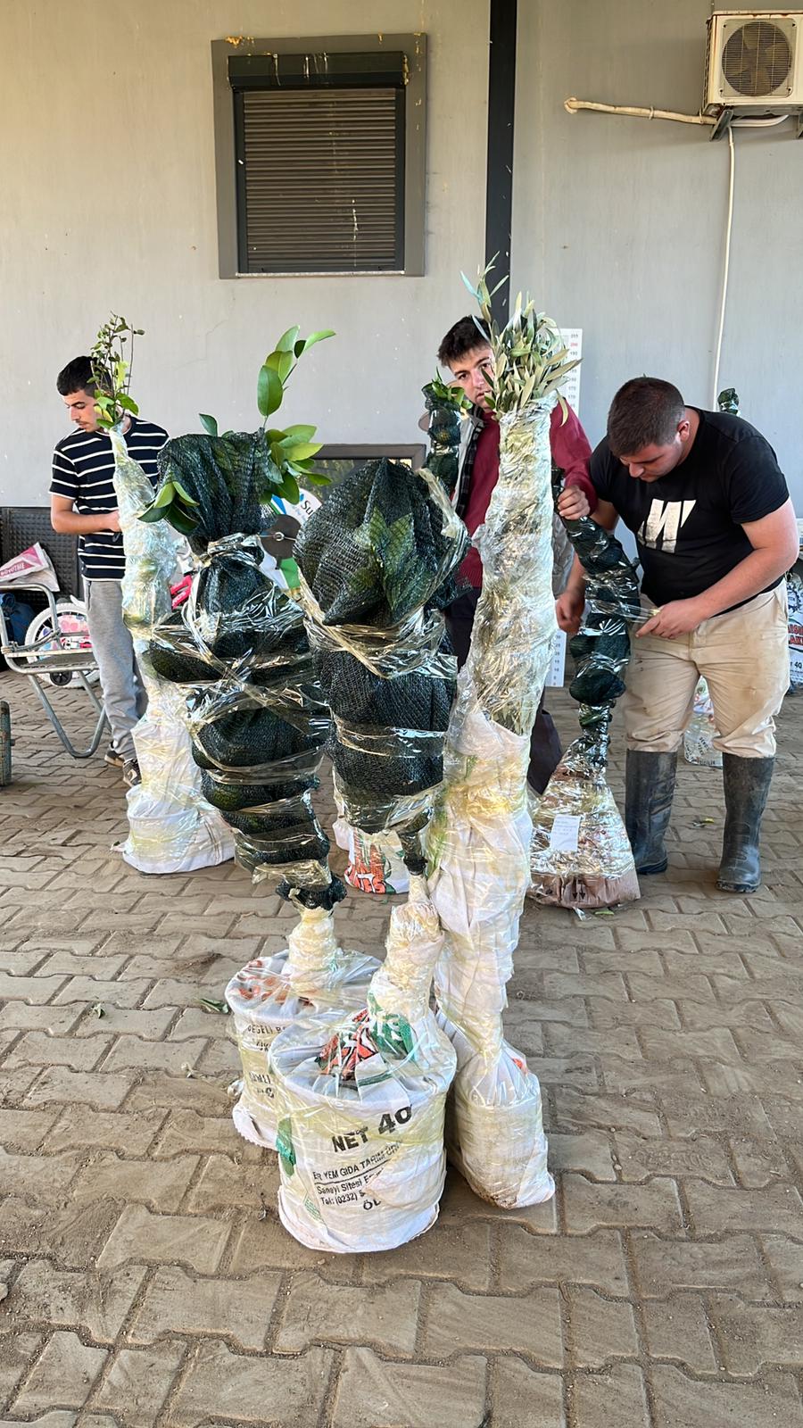 Fidan Paketleme Görseli 14