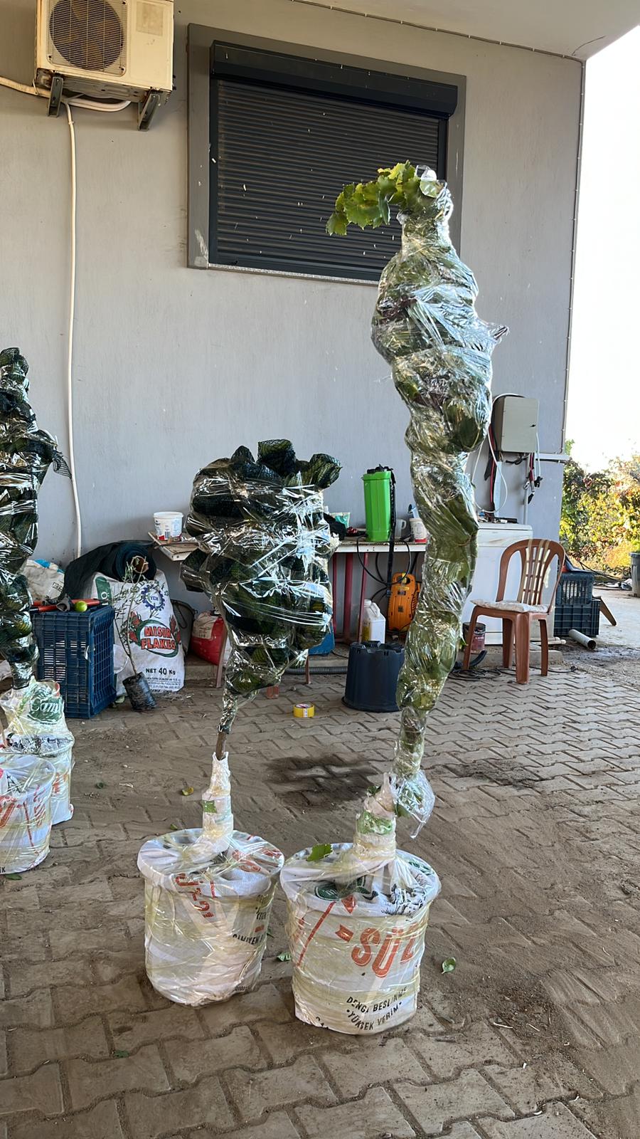 Fidan Paketleme Görseli 15