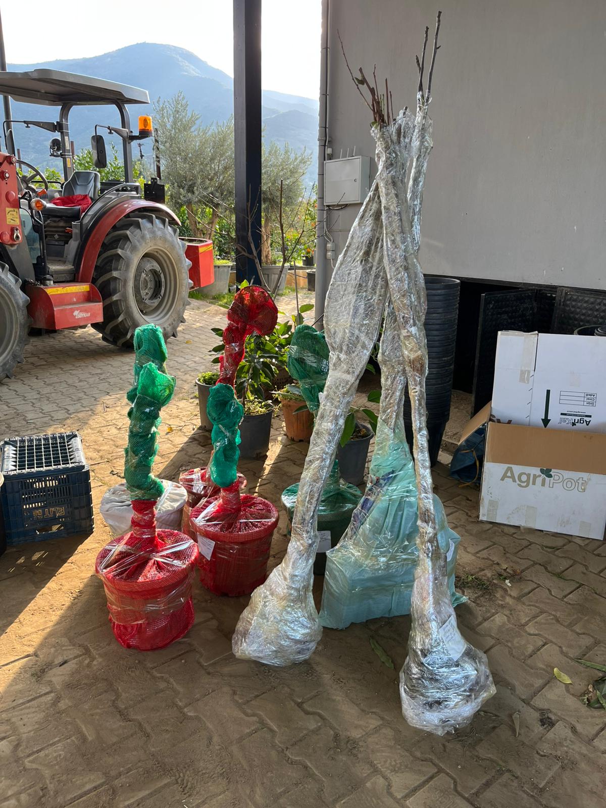 Fidan Paketleme Görseli 3