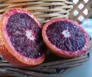 Kanlı Washington Portakal Fidanı