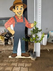 Tahiti Lime Fidanı Yeşil - Çekirdeksiz