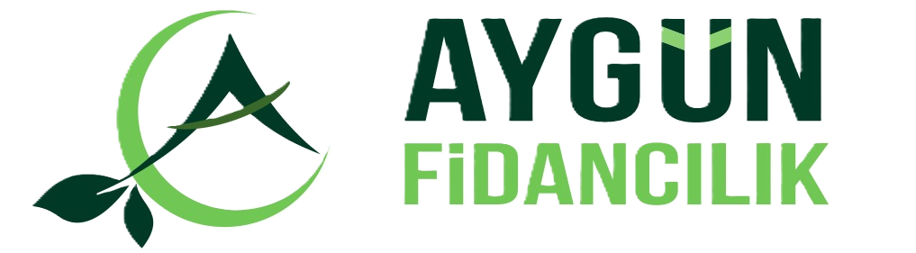 Aygün Fidancılık - Meyve ve Narenciye Fidanları, Toptan ve perakende fidan satışı ile Türkiye'nin her yerine fidan gönderimi yapmaktadır