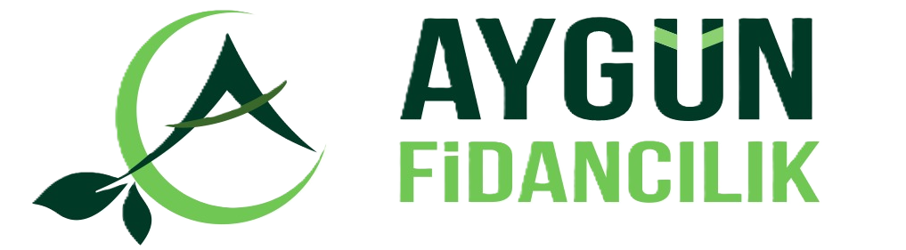 Jeromine Çeşitleri - Aygün Fidancılık